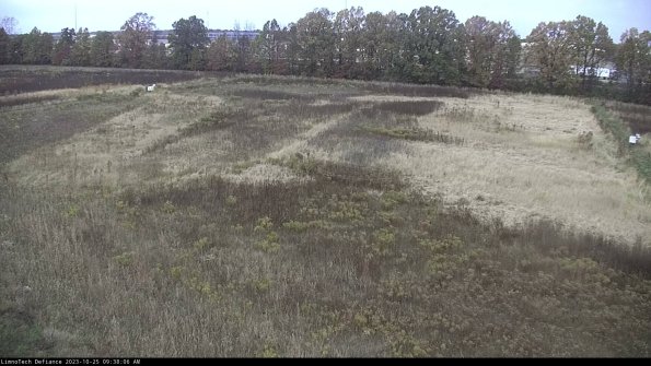 Cell 3_23-10-25_09-38-06-79