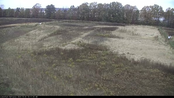 Cell 3_23-10-25_10-11-35-78