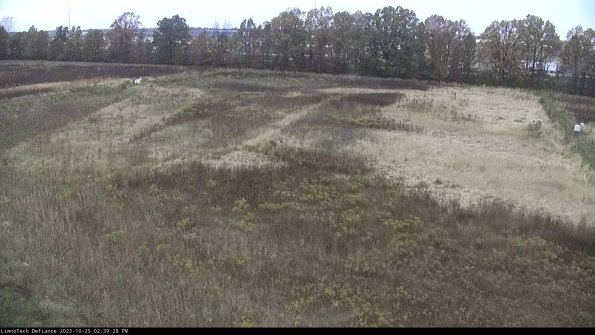 Cell 3_23-10-25_14-39-29-03