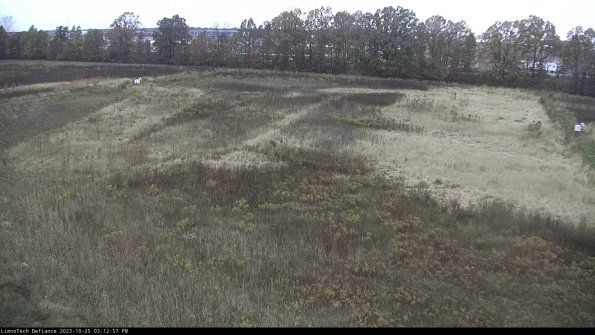 Cell 3_23-10-25_15-12-57-78