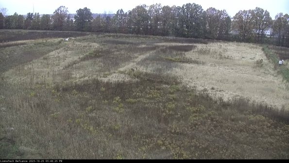 Cell 3_23-10-25_15-46-25-97