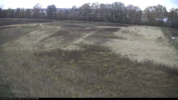 Cell 3_23-10-25_16-19-54-79