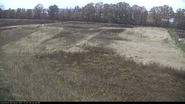 Cell 3_23-10-25_16-53-25-78