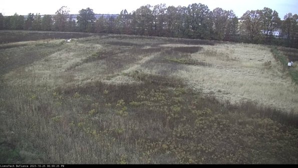 Cell 3_23-10-25_18-00-25-78