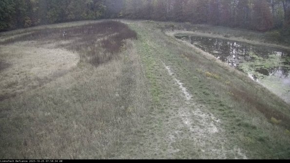 Cell 4 to Basin_23-10-25_07-58-34-79