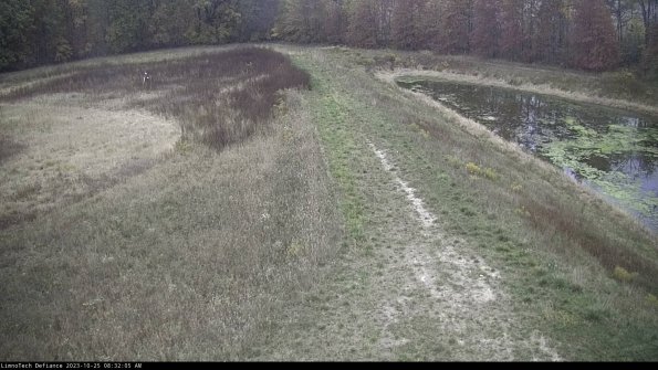 Cell 4 to Basin_23-10-25_08-32-05-81