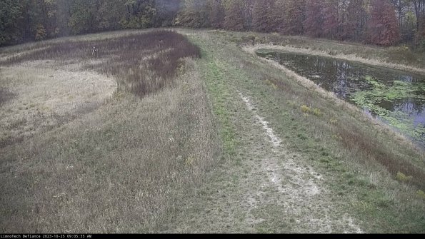 Cell 4 to Basin_23-10-25_09-05-35-80