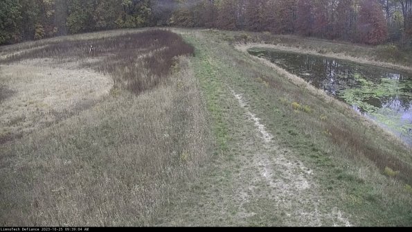 Cell 4 to Basin_23-10-25_09-39-04-78