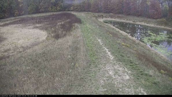 Cell 4 to Basin_23-10-25_10-12-33-80