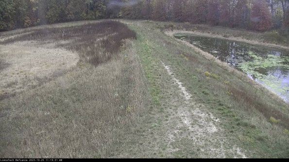 Cell 4 to Basin_23-10-25_11-19-31-81