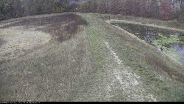 Cell 4 to Basin_23-10-25_11-53-00-76