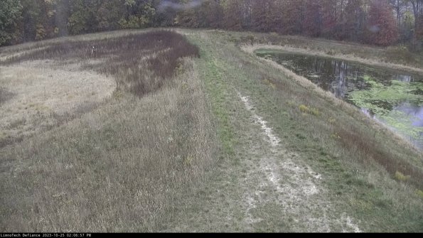 Cell 4 to Basin_23-10-25_14-06-57-80