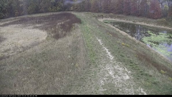 Cell 4 to Basin_23-10-25_14-40-26-79