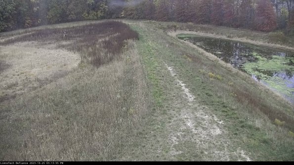 Cell 4 to Basin_23-10-25_15-13-55-78