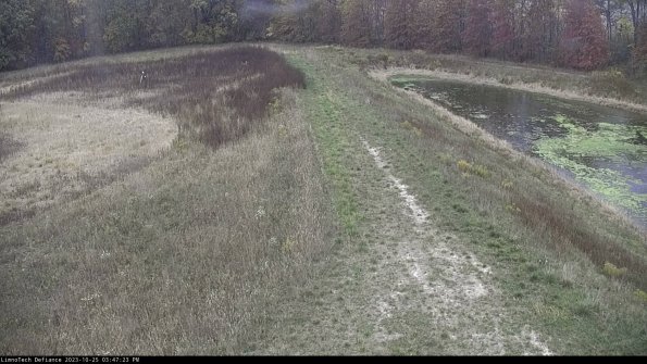 Cell 4 to Basin_23-10-25_15-47-23-76