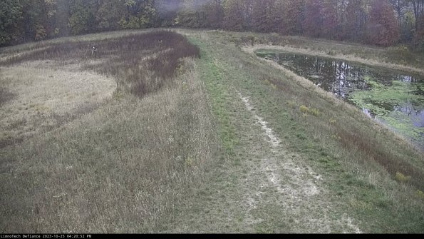 Cell 4 to Basin_23-10-25_16-20-52-78