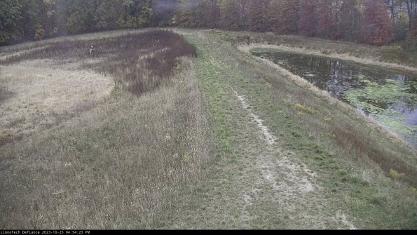 Cell 4 to Basin_23-10-25_16-54-23-77