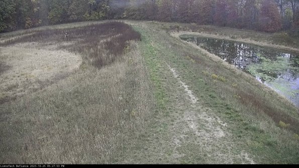 Cell 4 to Basin_23-10-25_17-27-53-76