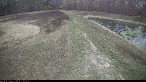 Cell 4 to Basin_23-10-25_18-34-52-80