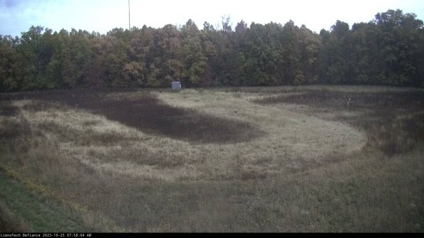 Cell 4_23-10-25_07-58-04-76