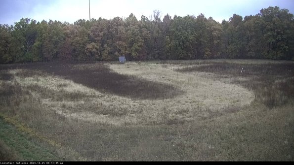 Cell 4_23-10-25_08-31-35-78