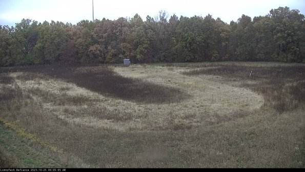 Cell 4_23-10-25_09-05-05-77