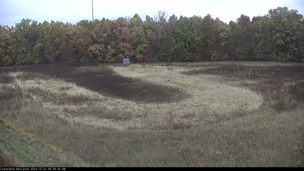 Cell 4_23-10-25_09-38-34-79