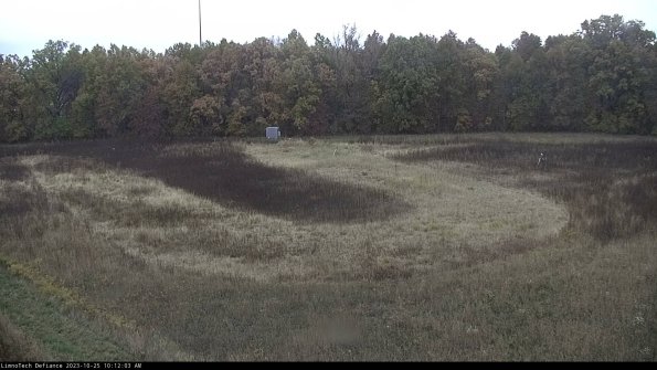 Cell 4_23-10-25_10-12-03-77