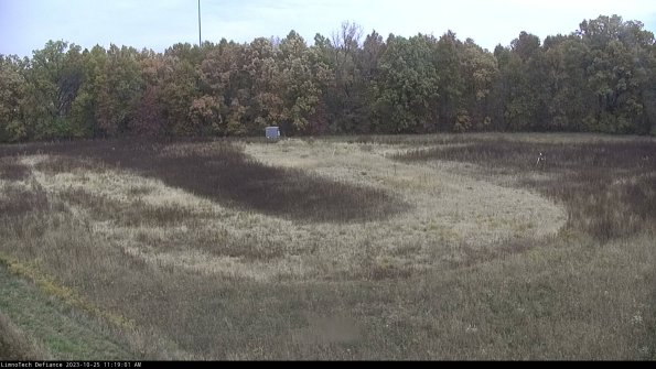 Cell 4_23-10-25_11-19-01-78