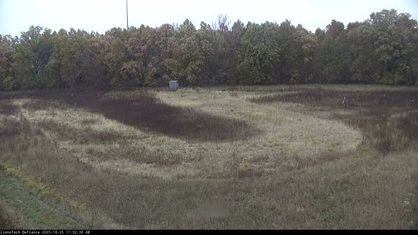 Cell 4_23-10-25_11-52-30-76