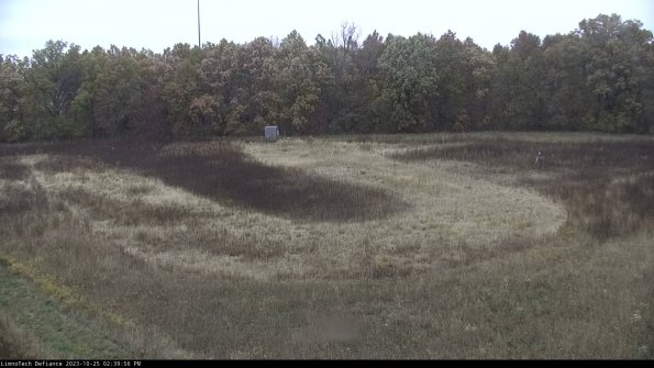 Cell 4_23-10-25_14-39-56-83