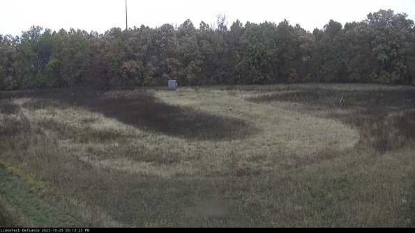 Cell 4_23-10-25_15-13-25-78