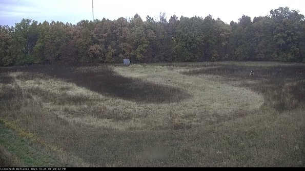 Cell 4_23-10-25_16-20-22-78