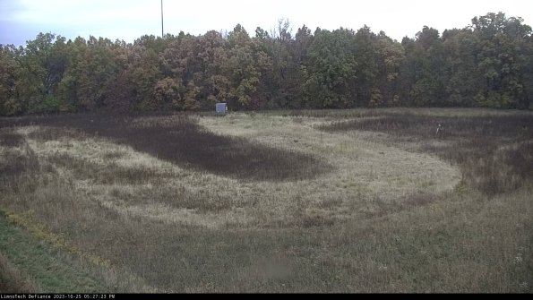 Cell 4_23-10-25_17-27-23-76