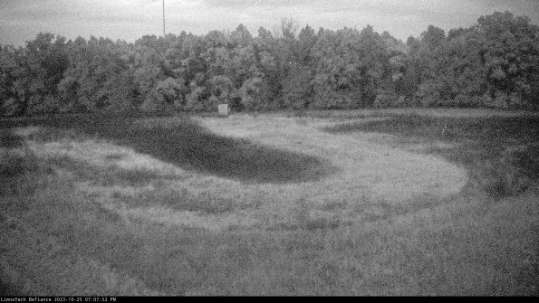 Cell 4_23-10-25_19-07-52-79