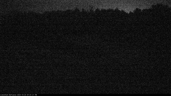 Cell 4_23-10-25_19-41-21-77