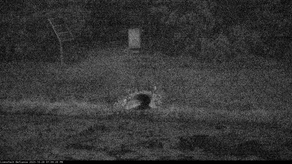 Basin Inflow_23-10-28_19-09-20-80