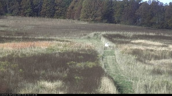 Cell 1 to 2_23-10-28_10-11-24-78