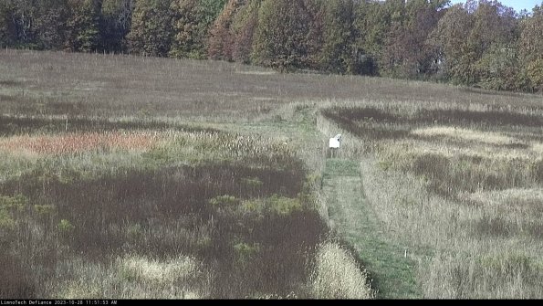 Cell 1 to 2_23-10-28_11-51-53-77