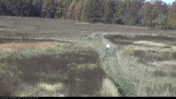 Cell 1 to 2_23-10-28_12-25-22-78