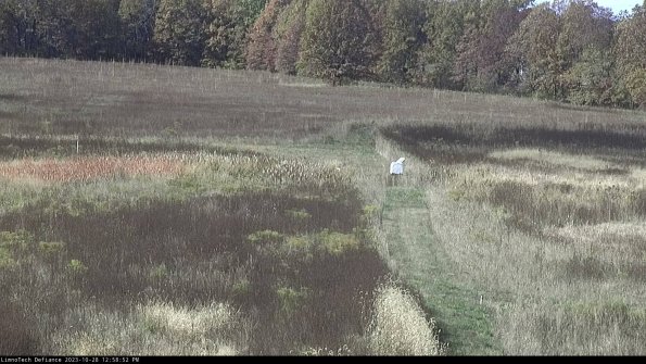 Cell 1 to 2_23-10-28_12-58-52-77