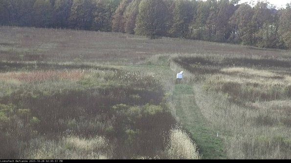 Cell 1 to 2_23-10-28_14-05-51-78