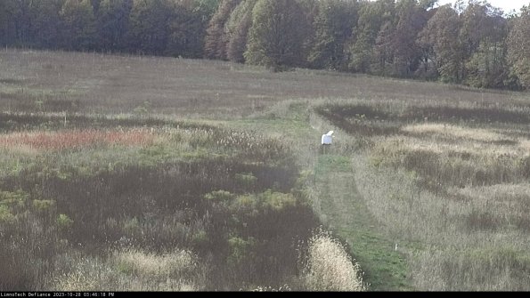 Cell 1 to 2_23-10-28_15-46-18-80