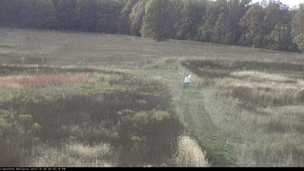 Cell 1 to 2_23-10-28_16-53-16-77