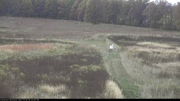 Cell 1 to 2_23-10-28_17-26-45-79