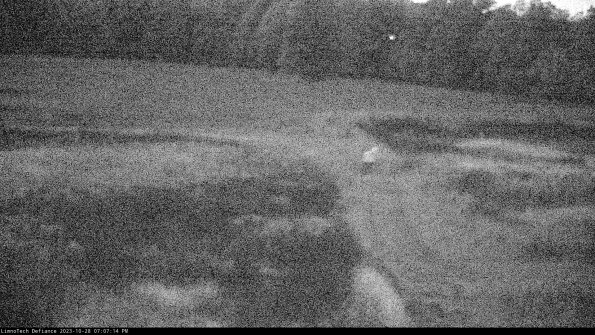 Cell 1 to 2_23-10-28_19-07-14-78