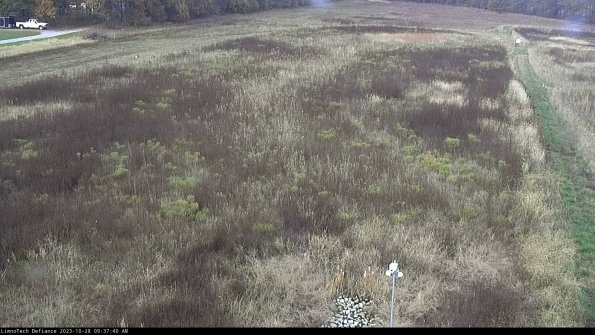 Cell 1_23-10-28_09-37-40-81