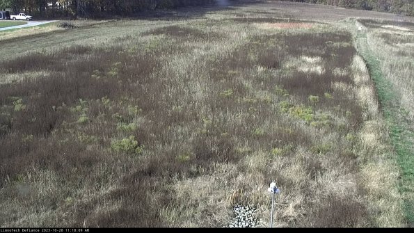 Cell 1_23-10-28_11-18-09-80