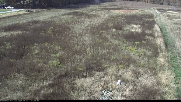 Cell 1_23-10-28_11-51-39-79