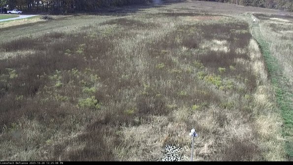 Cell 1_23-10-28_12-25-08-77